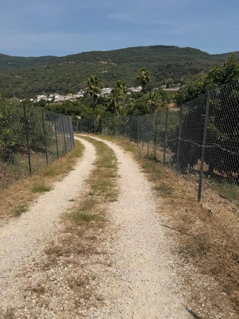 Vista exterior de Finca rústica en venda en Gaucín amb Jardí privat, Terrassa i Piscina