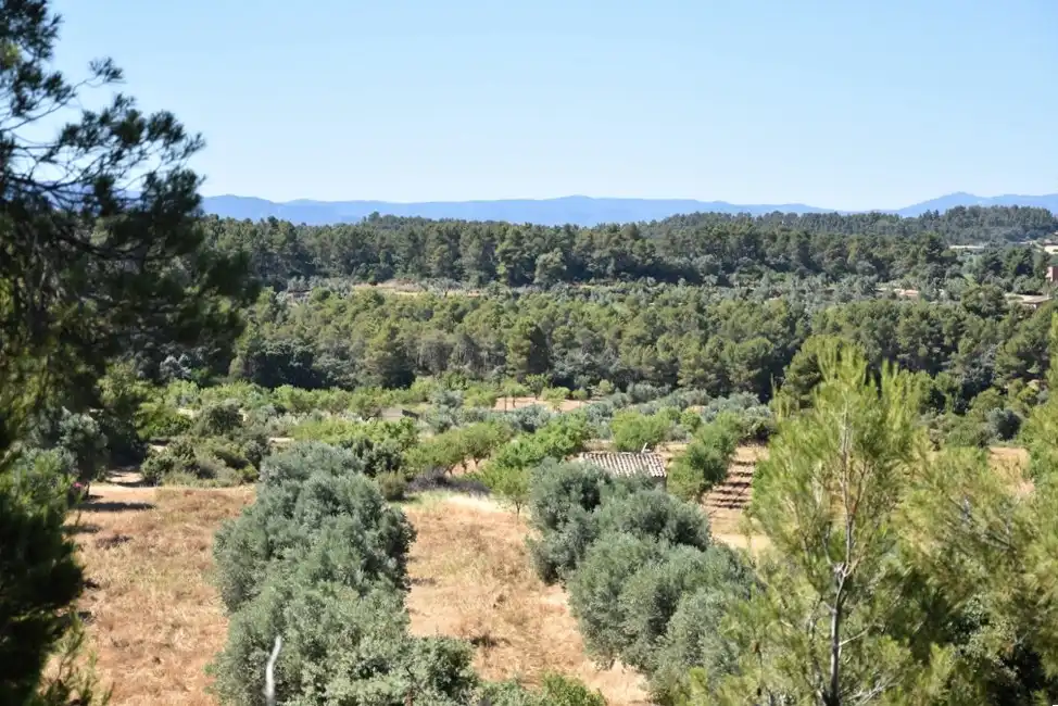 Terreno en venta en Arens de Lledó