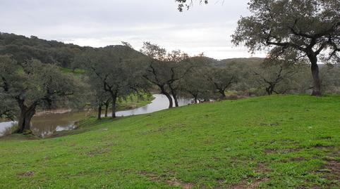 Photo 4 of Land for sale in Parque María Luisa -Giralda Sur, Sevilla