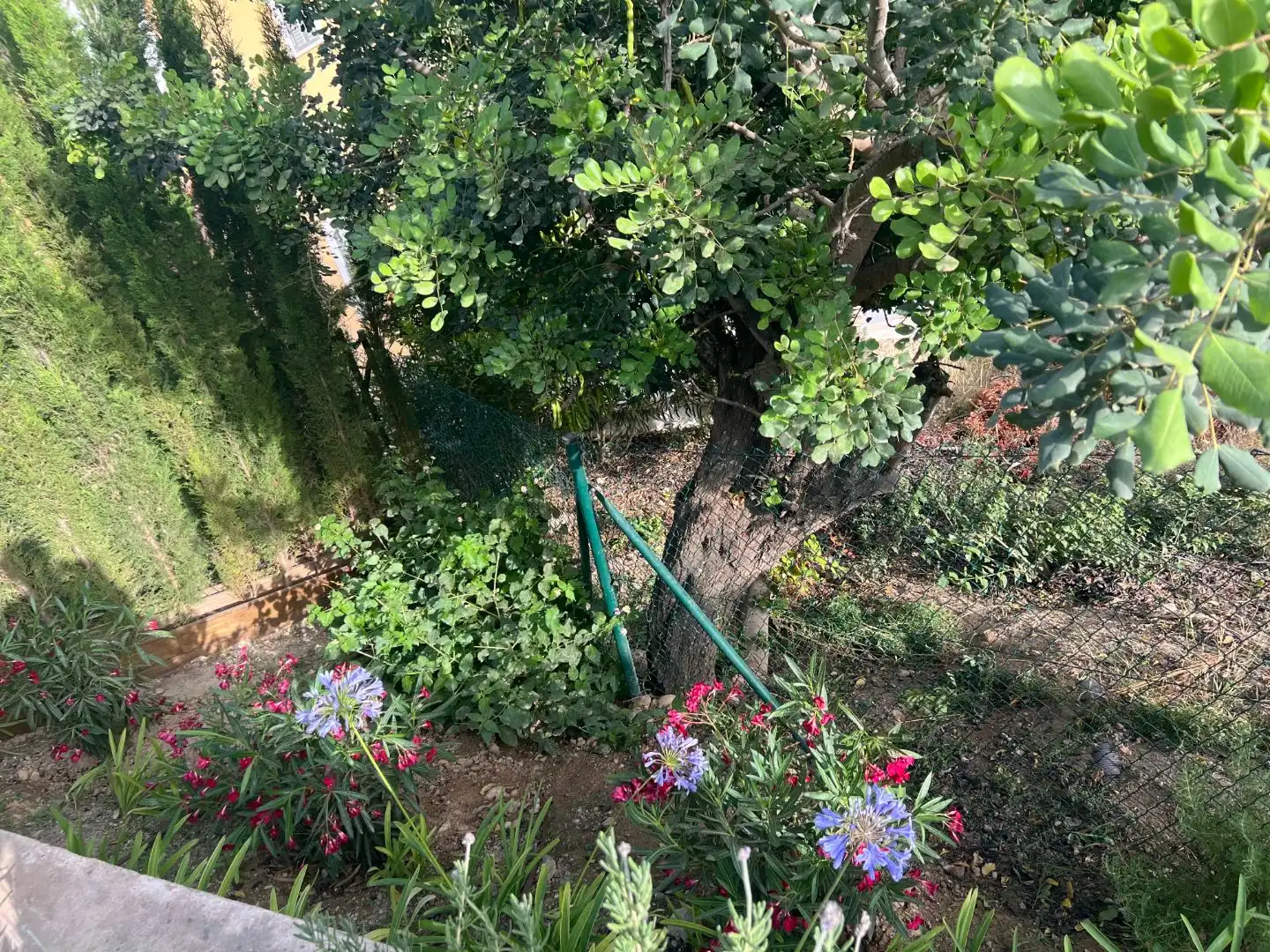 Garden of Houses for rent in Calvià  with Air Conditioner, Terrace and Balcony