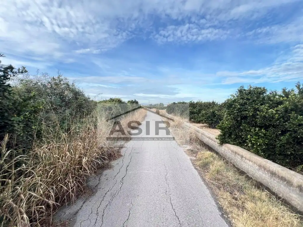 Terreno rústico en venta en Calle Guadassuar, imagen 14