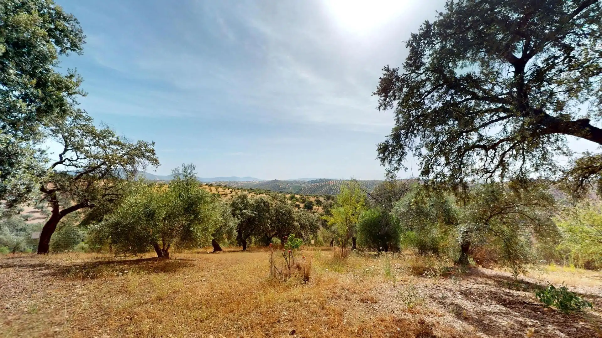 Houses for sale in Montoro  with Private garden and Terrace