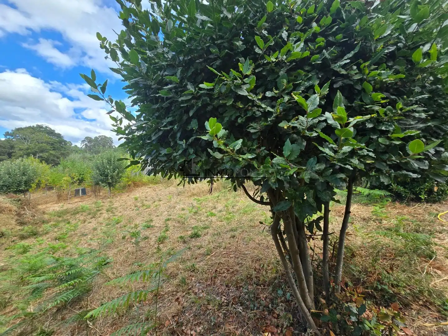 Casa o xalet en venda en Pontevedra Capital  amb Jardí privat