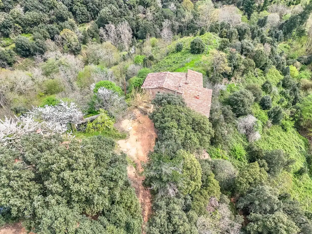 Finca rústica en venda a Arbúcies