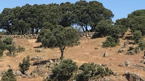 Foto 4 de Finca rústica en venda a Casco Antiguo, Toledo