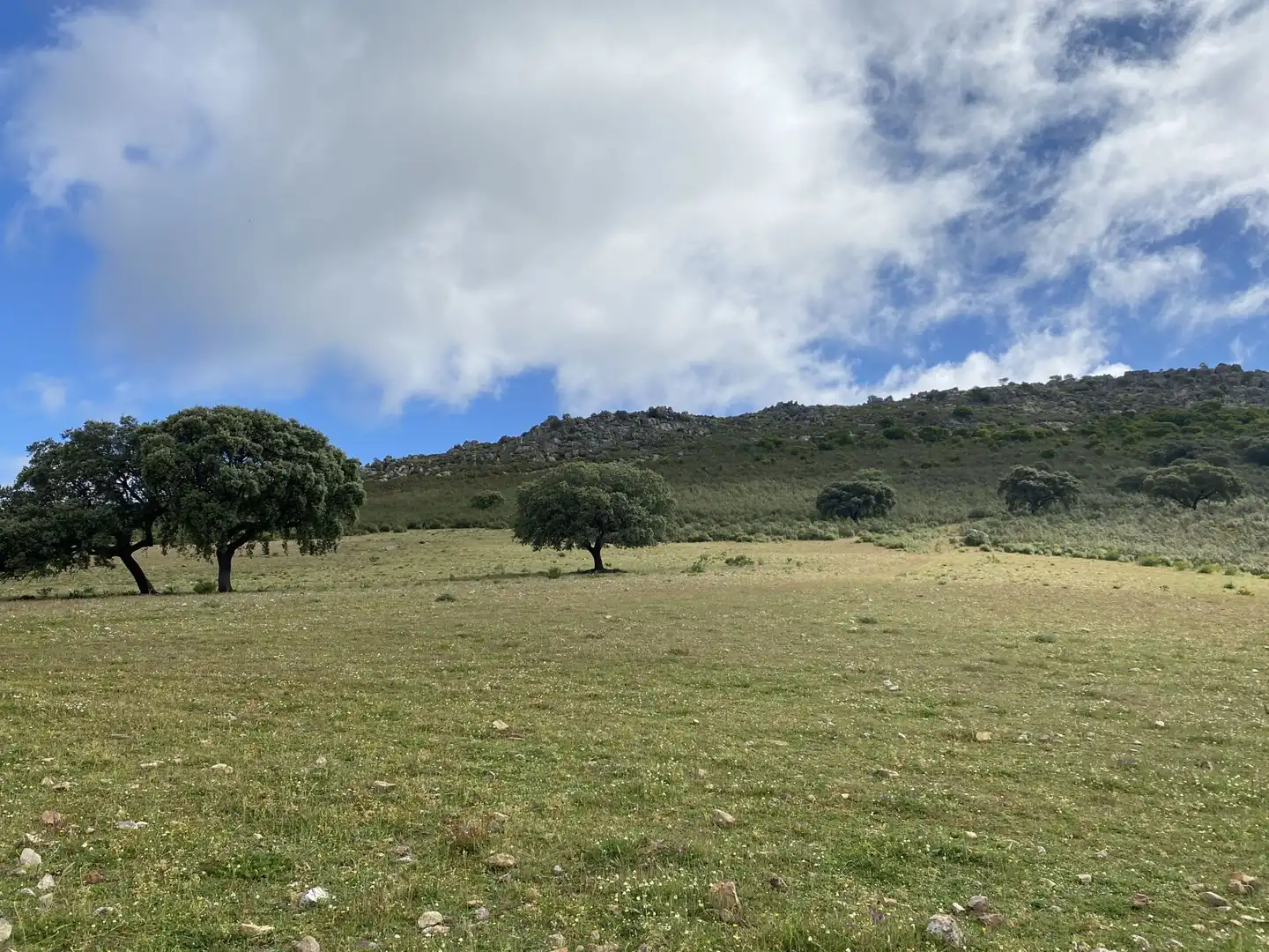 Terreno en venta en Deleitosa