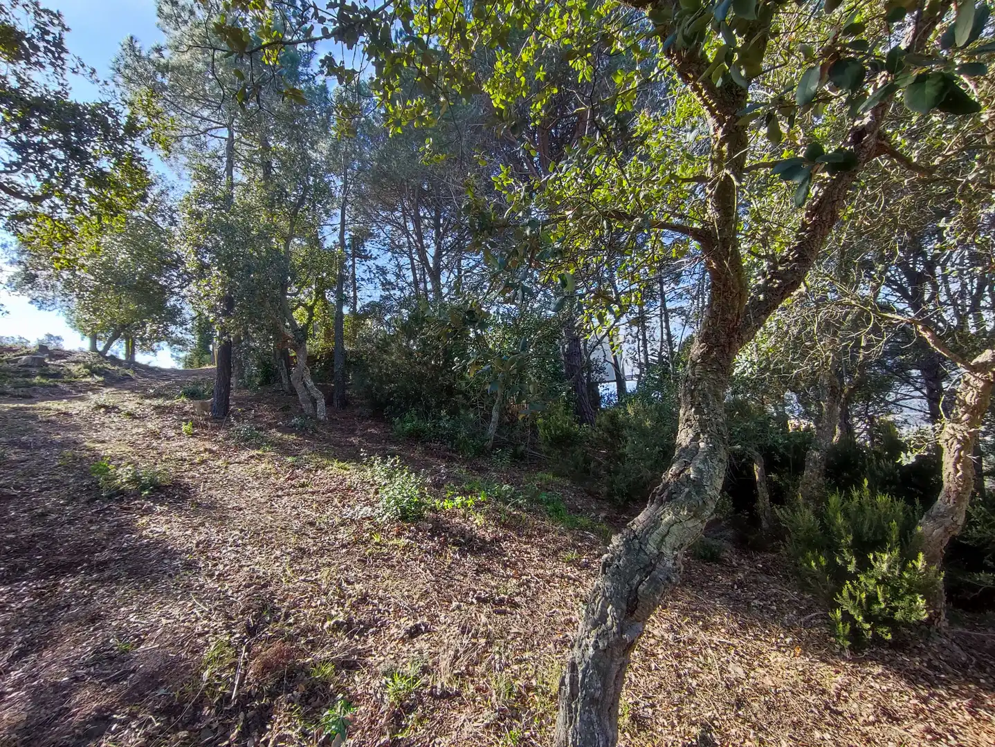 Terreno residencial en venta en Carrer dels Pirineus, imagen 10