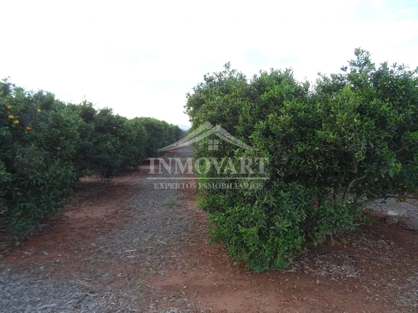 Terreno rústico en venta en Alginet