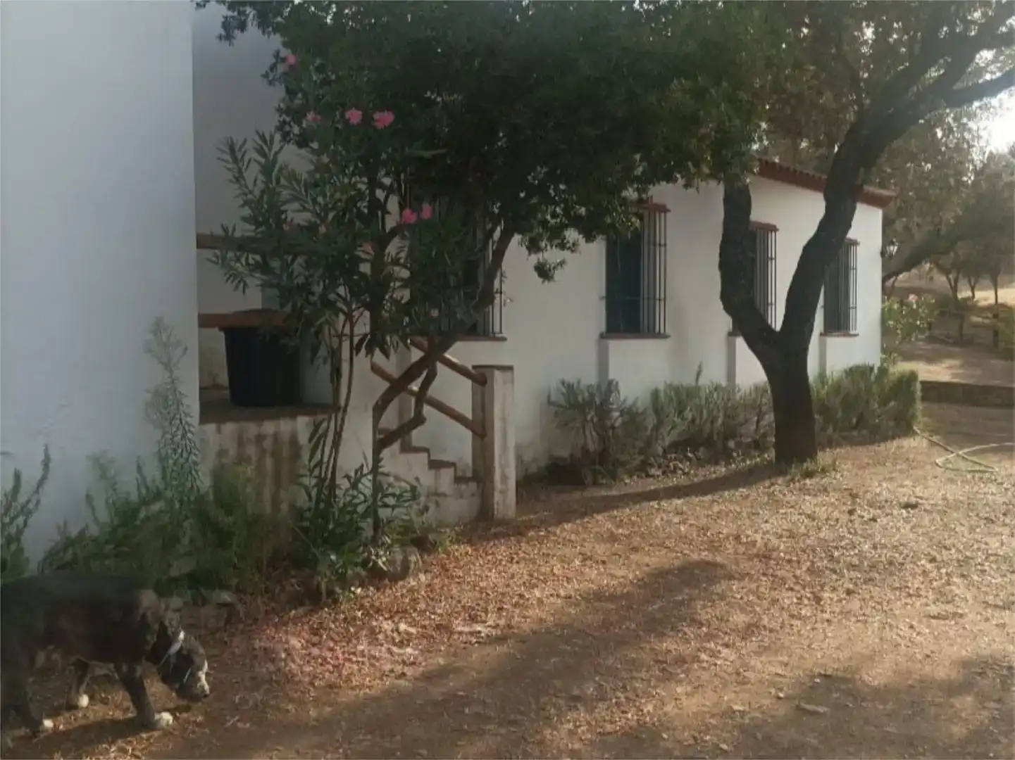 Vista exterior de Pis en venda en Alanís amb Jardí privat, Piscina i Moblat