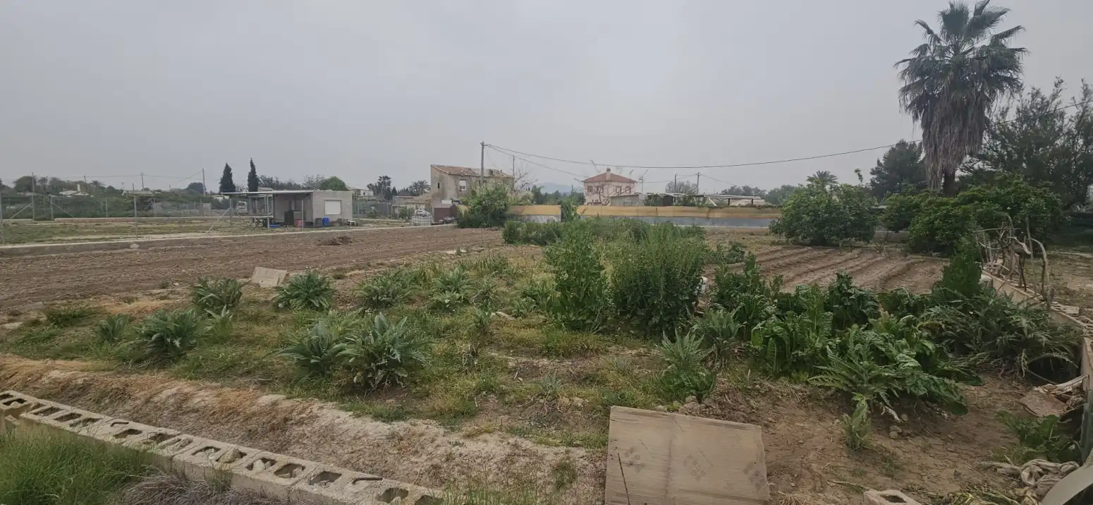 Terreni e lotti in vendita a Alguazas