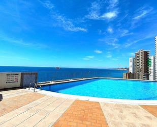 Swimming pool of Duplex for sale in Benidorm  with Air Conditioner