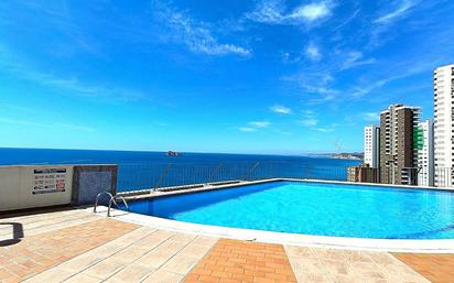 Swimming pool of Duplex for sale in Benidorm  with Air Conditioner