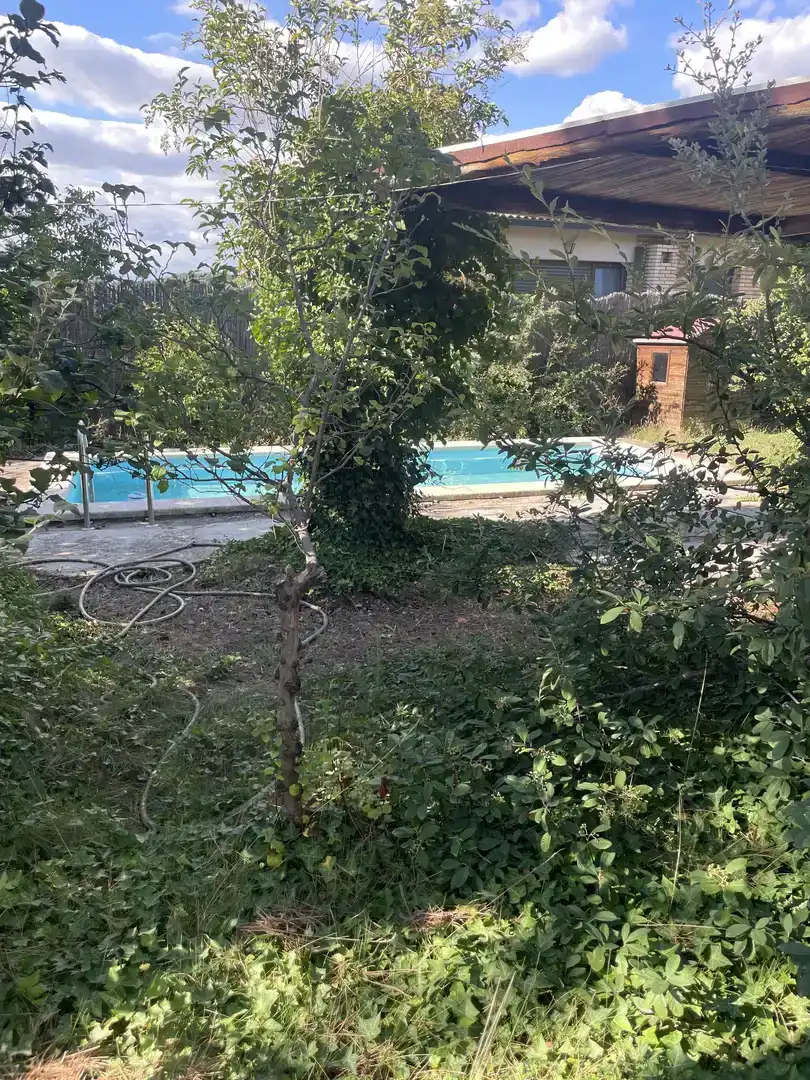 Piscina de Casa o xalet en venda en Castellnou de Bages amb Piscina i Balcó