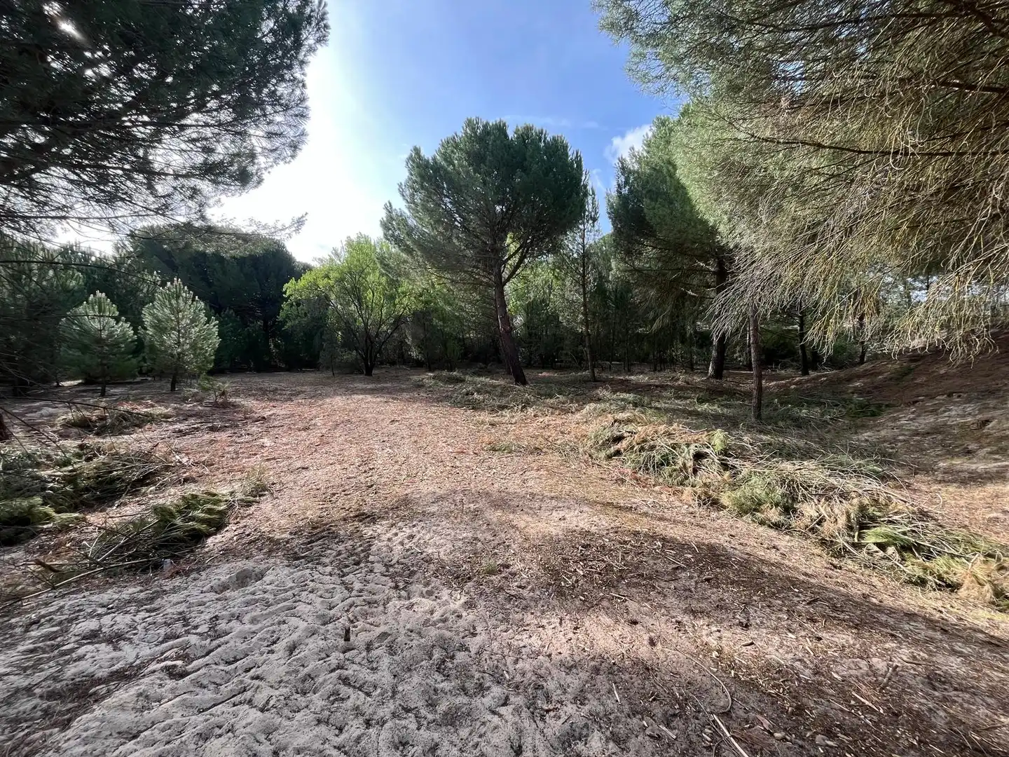 Terreno en venta en Tudela de Duero