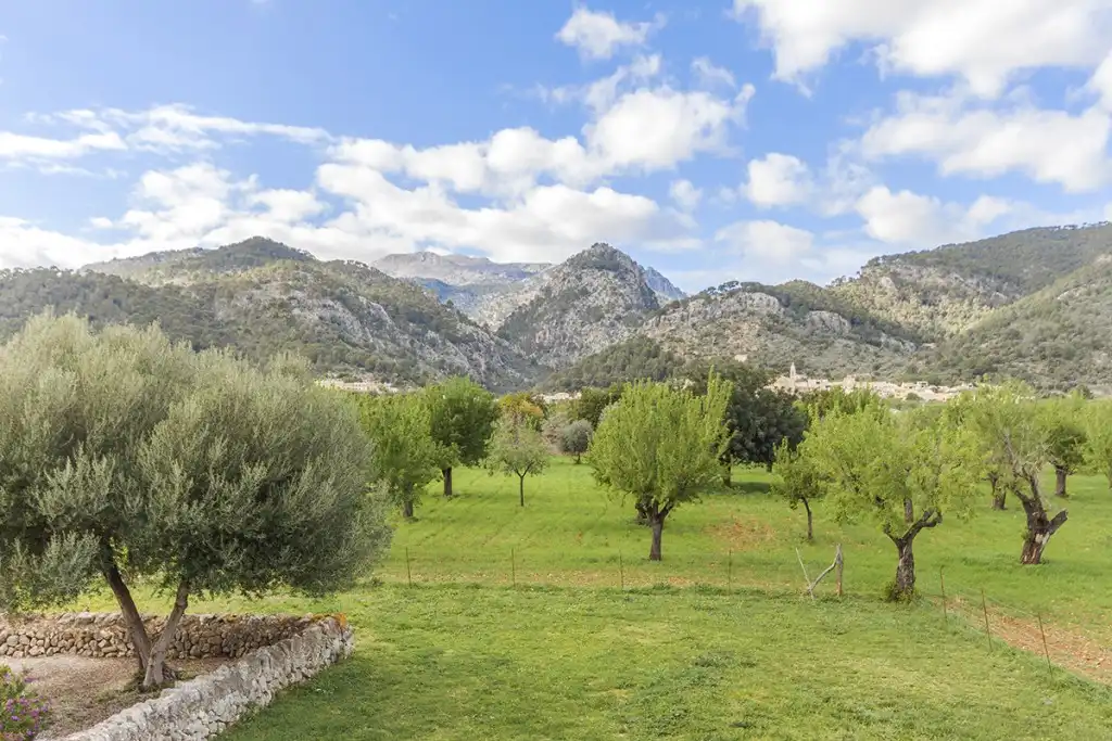Casa rústica en venda a Mancor de la Vall, imagen 21