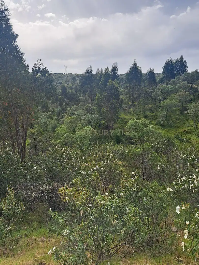 Terreno en venta en Herrera de Alcántara