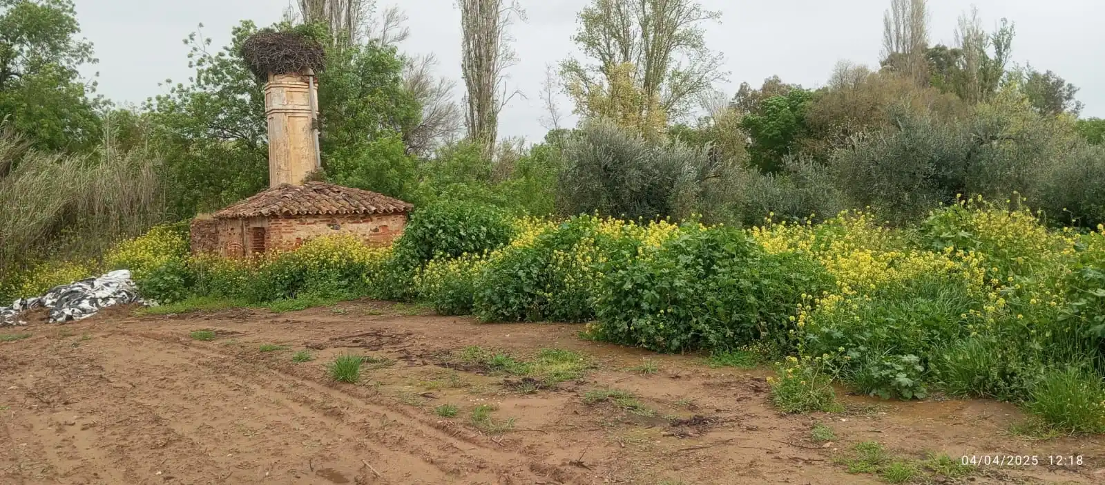 Terreni e lotti in vendita a La Zarza (Badajoz), imagen 7
