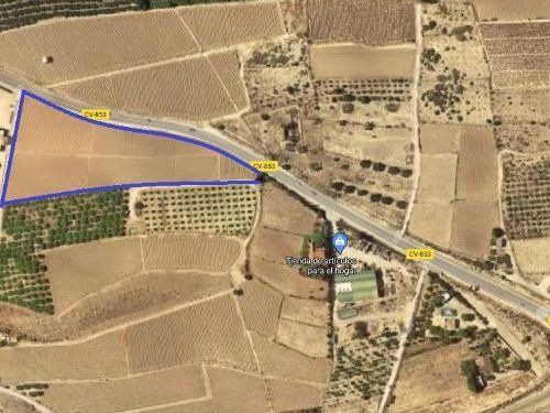 Land for sale in Elche / Elx