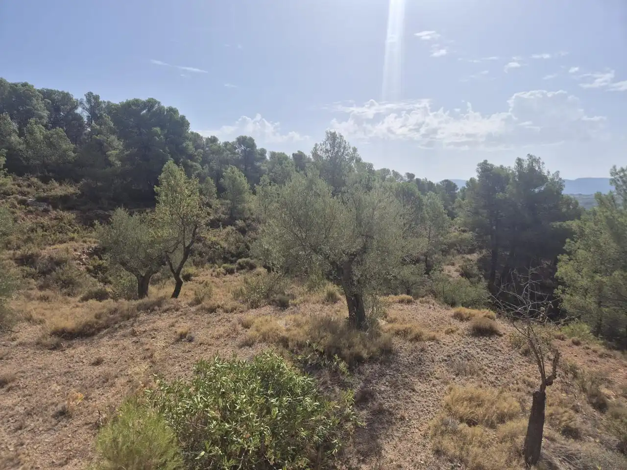 Country homes for sale in Onil