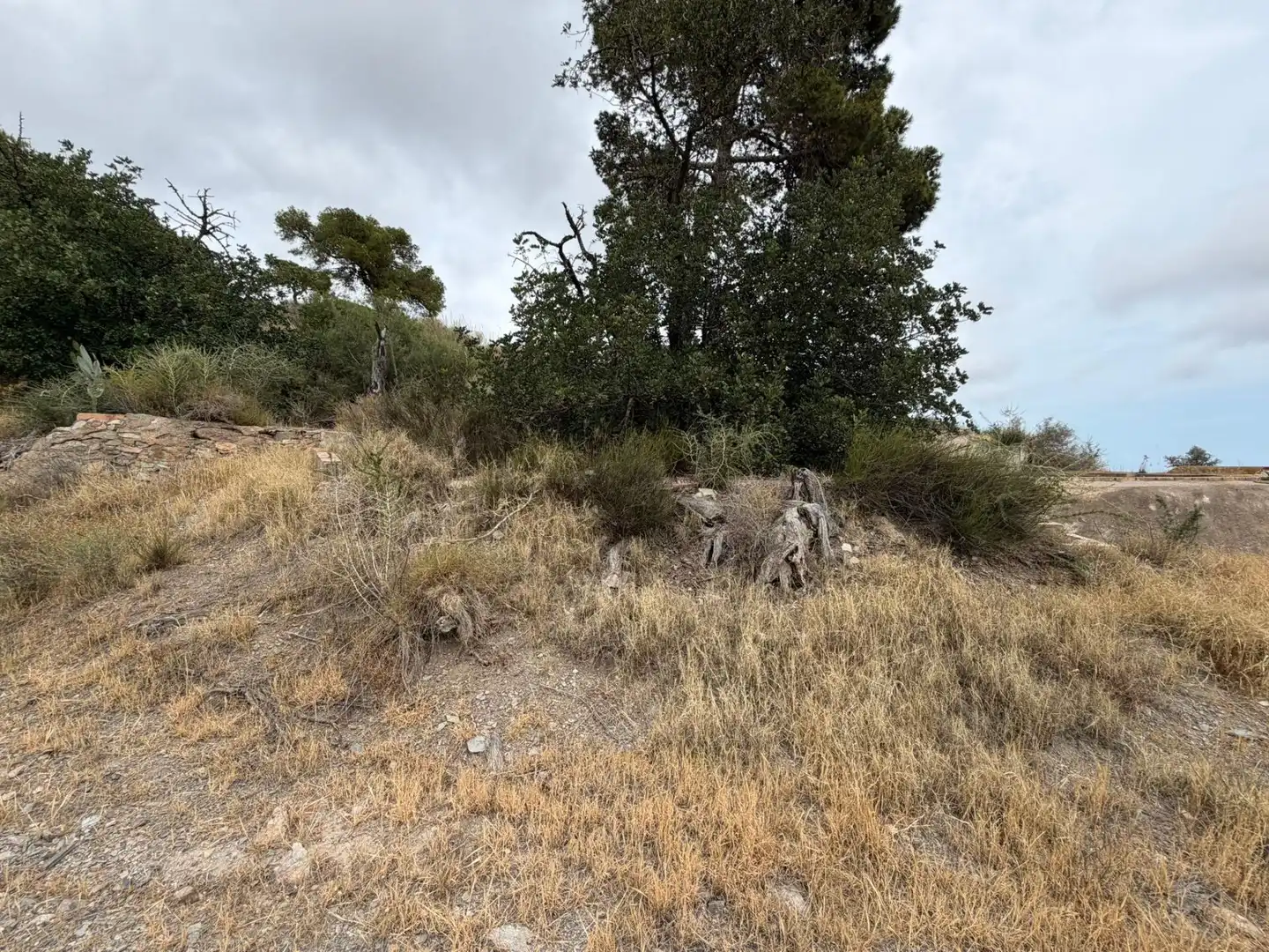 Finca rústica en venta en Lorca con Jardín privado, Terraza y Piscina