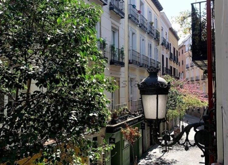Photo 1 of Flat to rent in Cortes - Huertas, Madrid