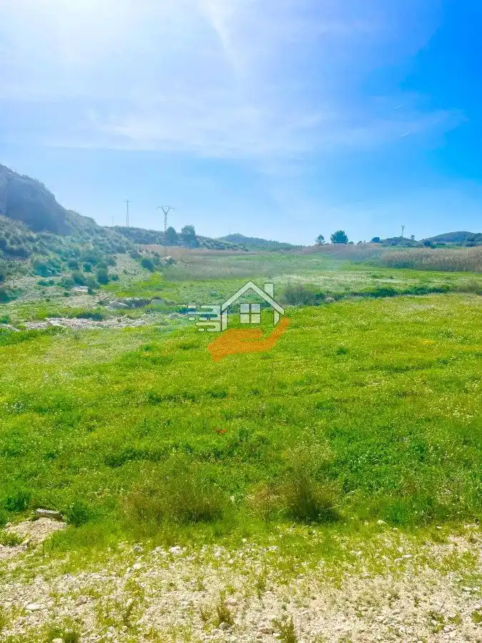 Lands and plots for sale in Pedanías Norte, imagen 23