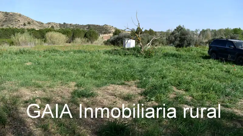 Terreny rústic en venda a Maella