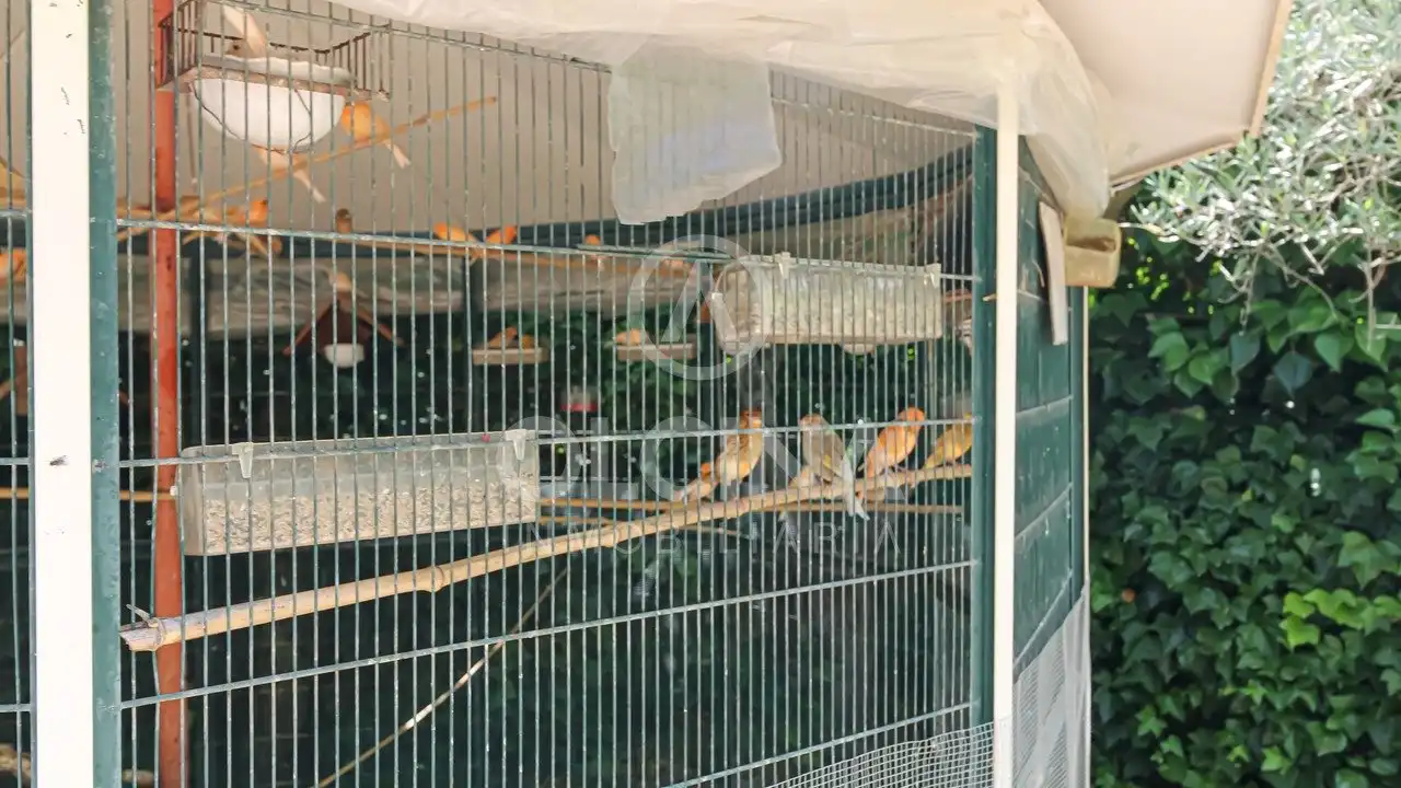 Jardín de Finca rústica en venta en Onil con Aire acondicionado y Terraza