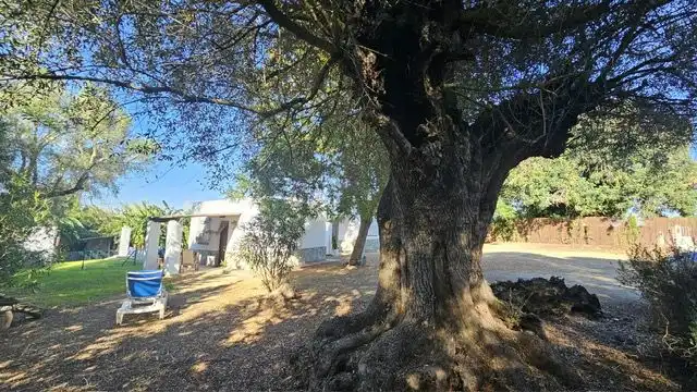 Mini appartamento in affitto a Vejer, imagen 11