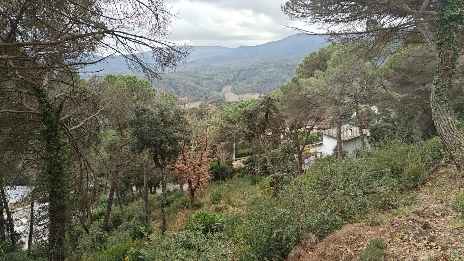 Terrenys i solars en venda a Vallgorguina
