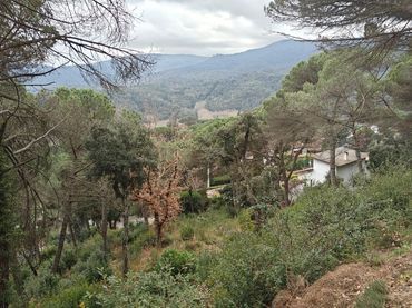 Lands and plots for sale in Vallgorguina
