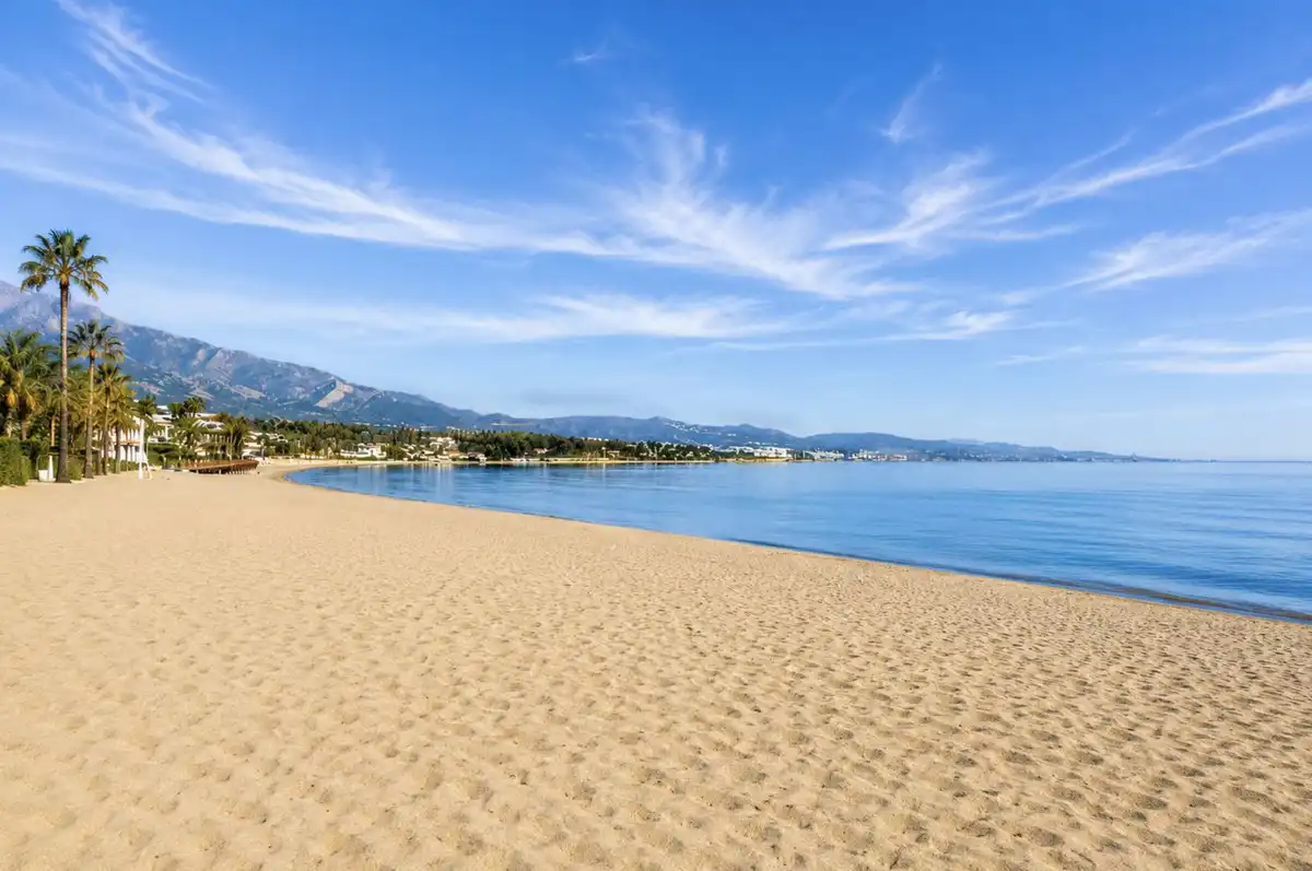 Vista exterior de Dúplex en venda en Marbella amb Aire condicionat, Terrassa i Traster