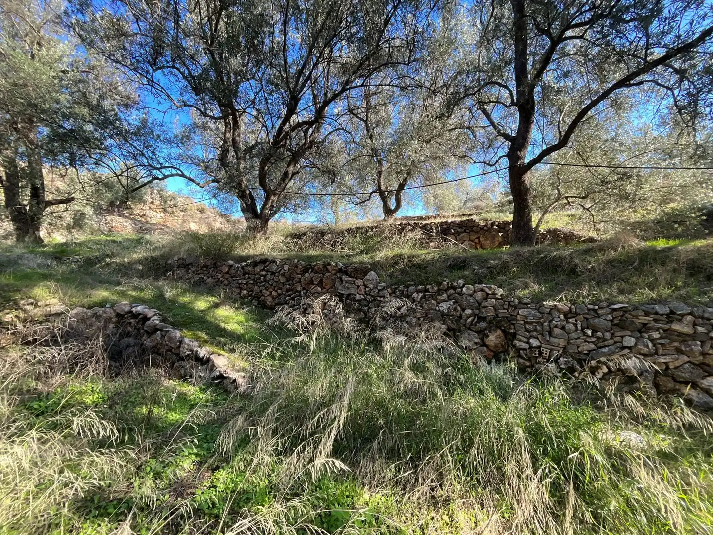 Terreni e lotti in vendita a carretera, imagen 16