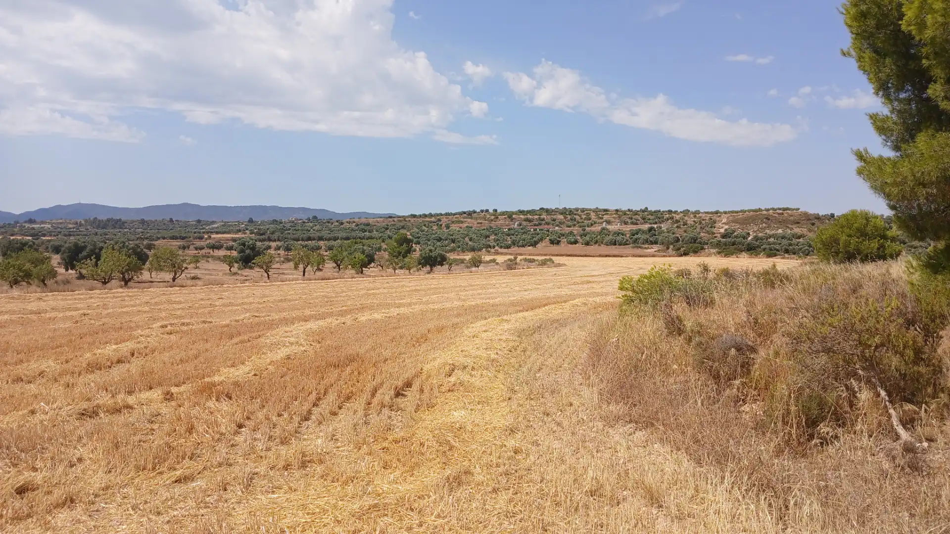 Terreno en venta en Castelserás, Teruel