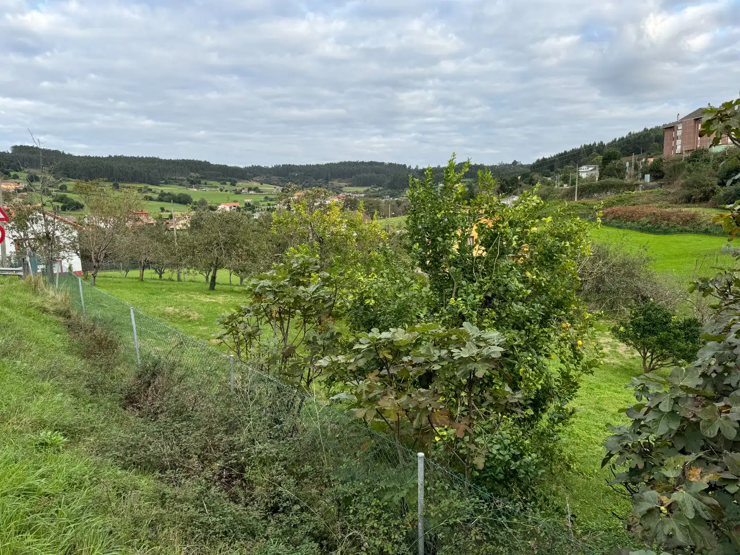 Lands and plots for sale in Lugar de La Florida 20, imagen 18