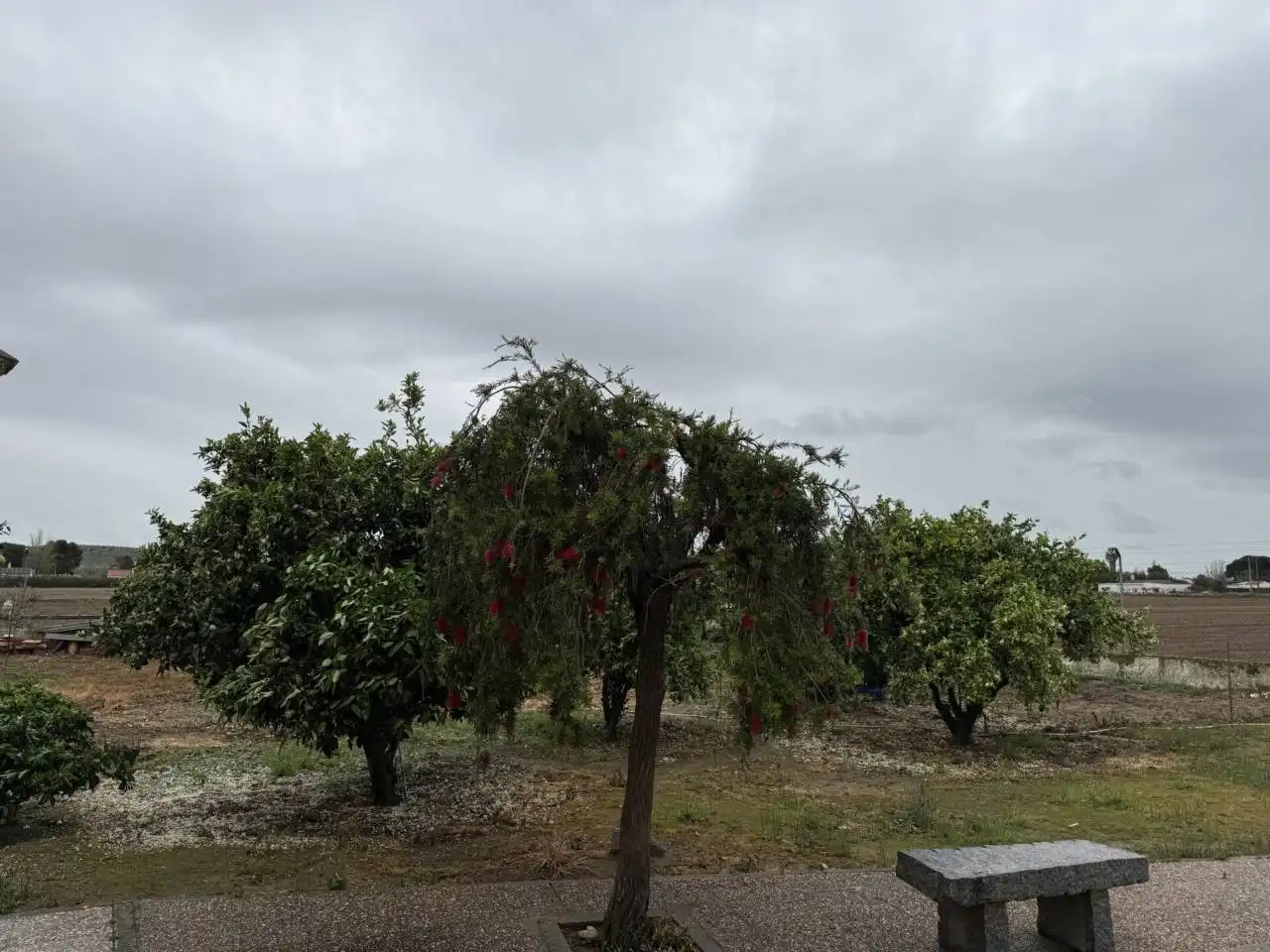 Chalet en venta en Villanueva de la Serena, imagen 23