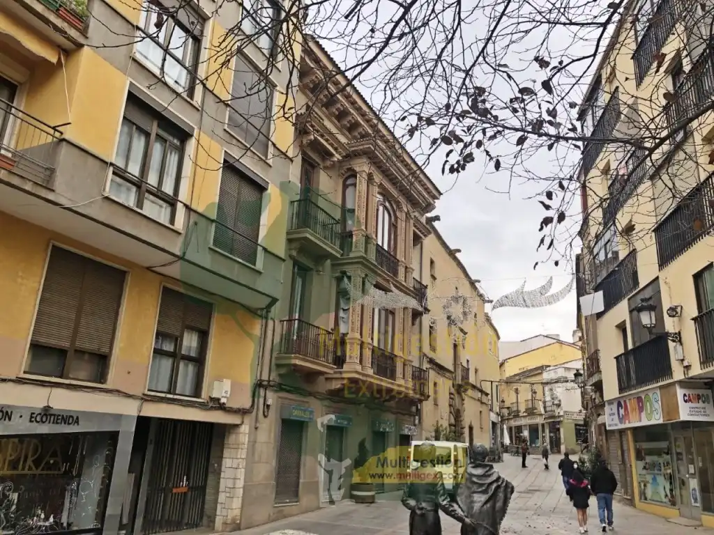 Immobles singulars en venda a Casco Antiguo