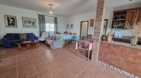 CASA DE CAMPO 3 DORMITORIOS CON PARCELA DE 3242 m2 Y VISTA DESPEJADA A LA MONTAÑA  CANILLAS DE ACEITUNO, imatge 5
