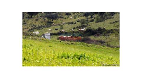 Photo 3 of House or chalet for sale in Montemolín, Badajoz