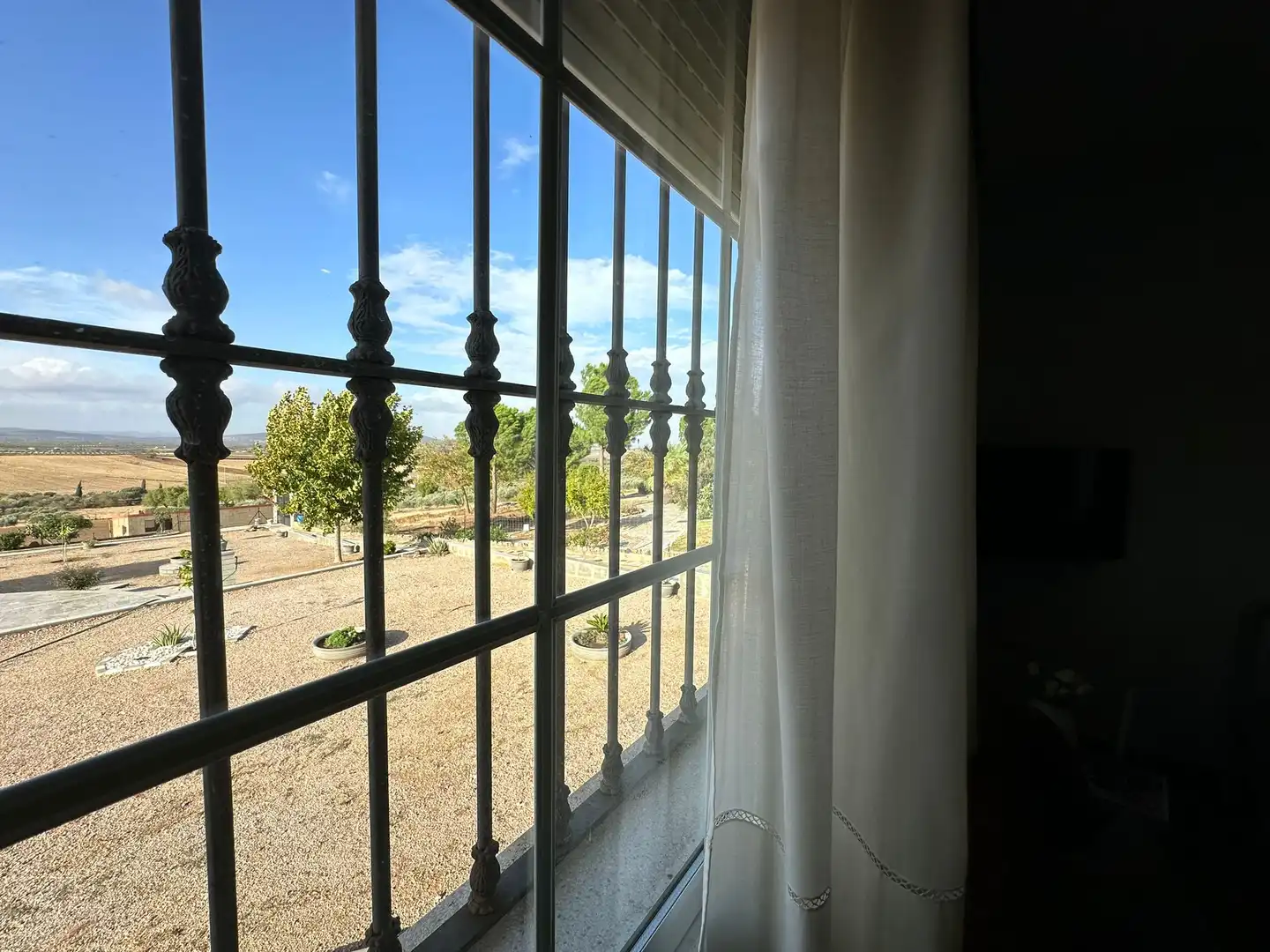 Jardí de Casa o xalet en venda en Magacela amb Jardí privat, Terrassa i Piscina