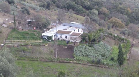 VENTA FINCA RÚSTICA CRTRA. EL BOSQUE  UBRIQUE