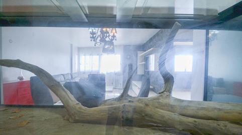 Photo 5 of Flat for sale in  Gran Canaria, 20, Deltebre, Tarragona