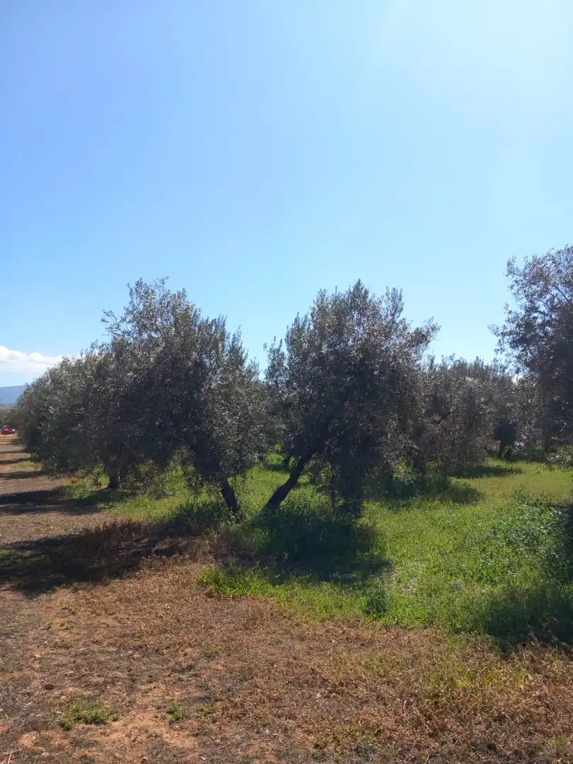 Terreni e lotti in vendita a Atarfe, imagen 6