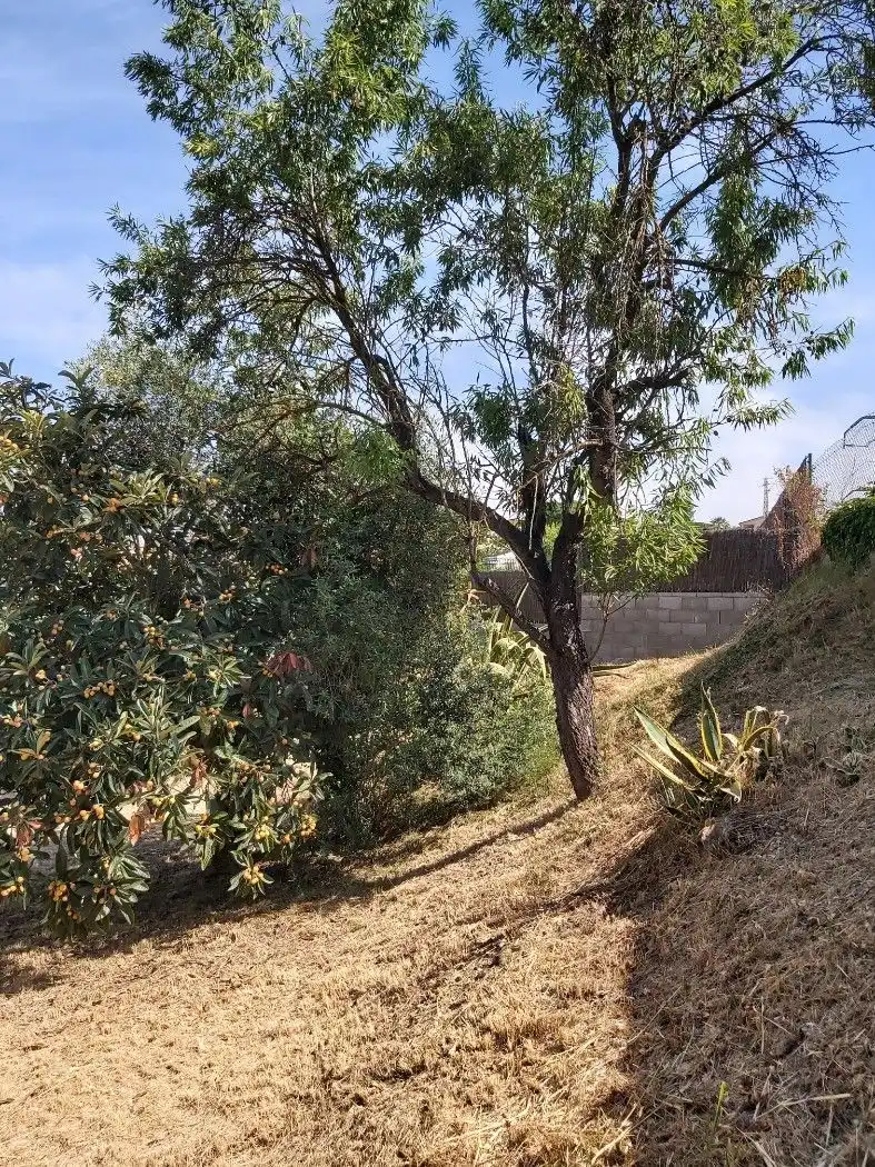 Residential land for sale in Avinguda Vallserrat, imagen 9