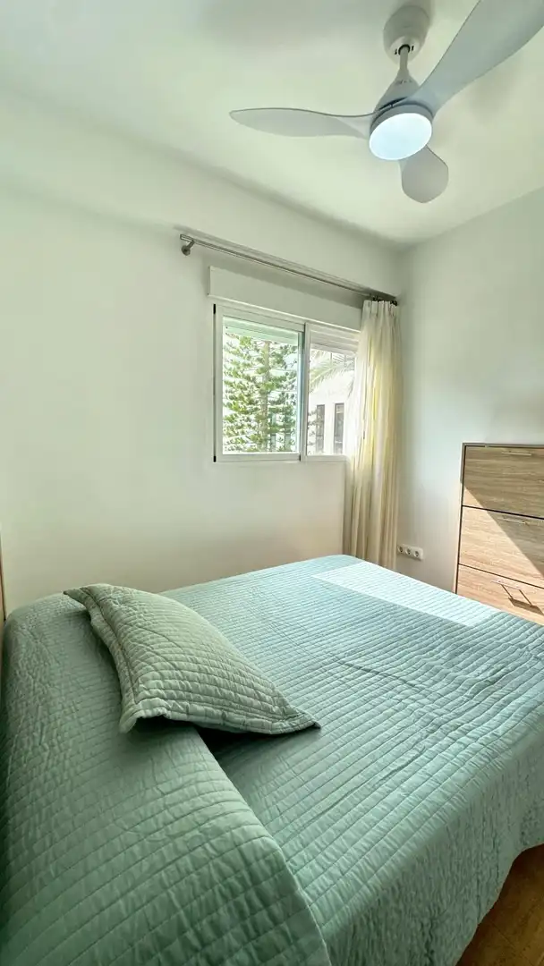 Apartment mit Terrasse zum Verkauf in Playa de Gandia, imagen 19