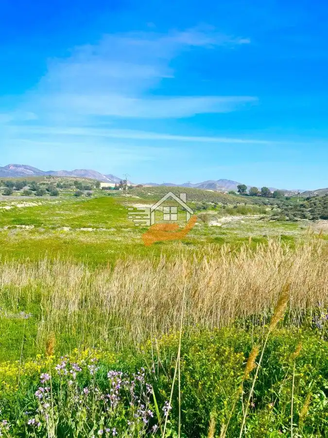 Lands and plots for sale in Pedanías Norte, imagen 17