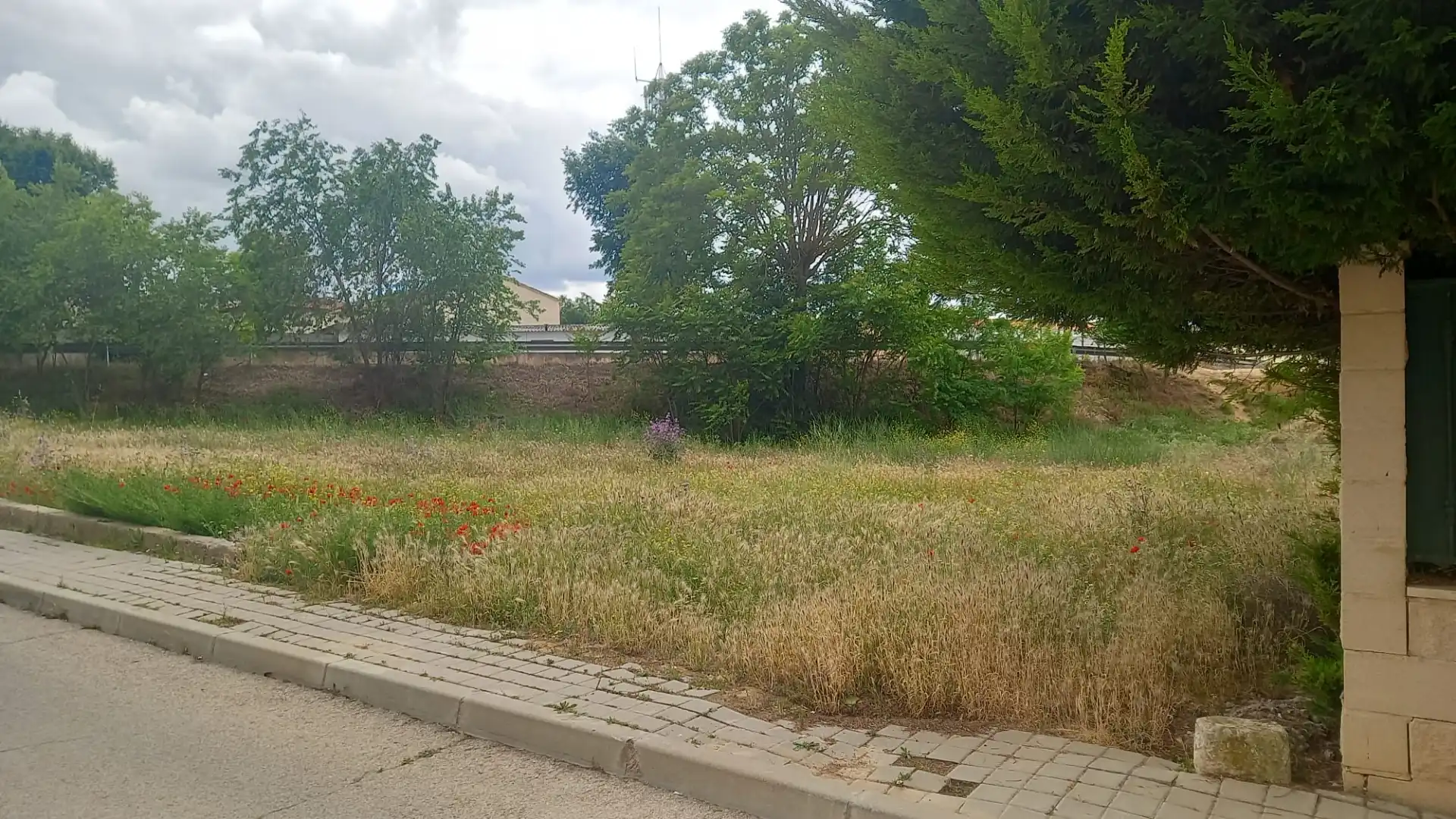 Terreno residenziale in vendita a Calle Grande, imagen 2