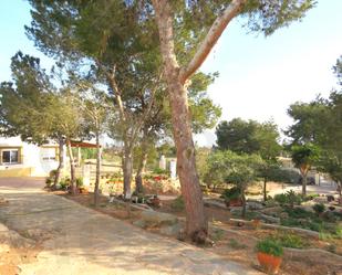 Garden of House or chalet for sale in Cartagena  with Air Conditioner, Heating and Private garden