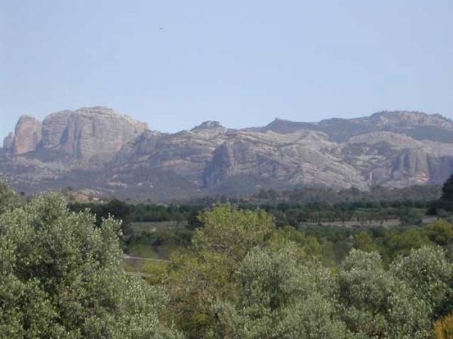 Terreno en Venta en Cretas