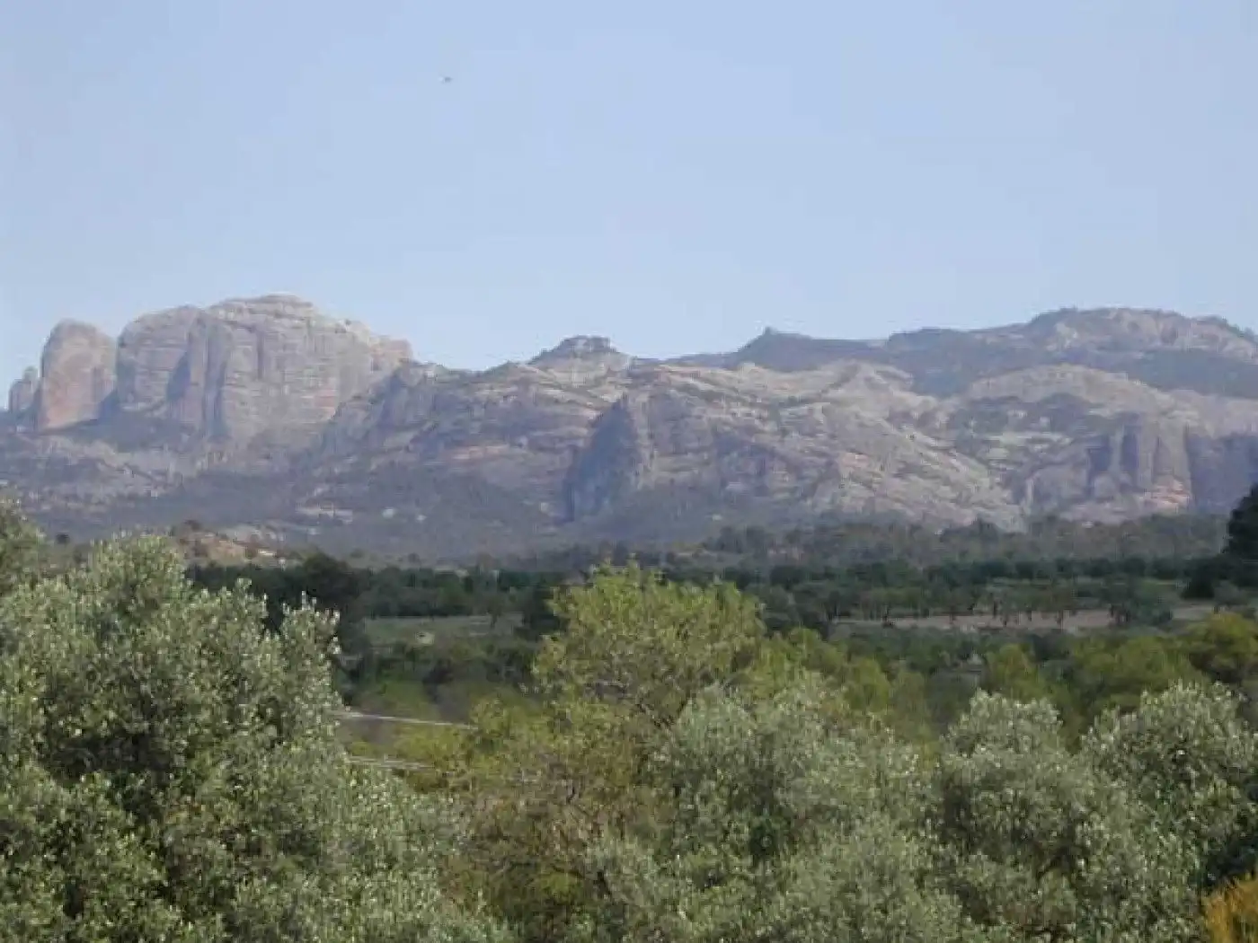 Terreni e lotti in vendita a Cretas